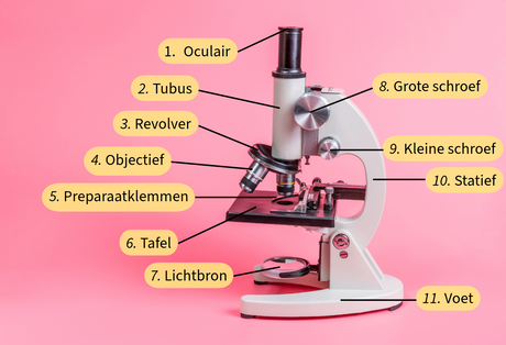De onderdelen van een microscoop