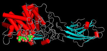 Cellulase, uit Aspergillus Niger, ~0,8 U
