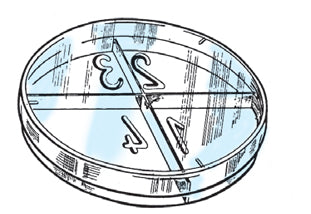 Petrischaal 94 mm, 4-vaks, mn, steriel