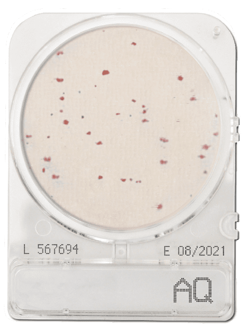 CompactDry AQ - Heterotrophic bacteria in water - Antonides - CompactDry