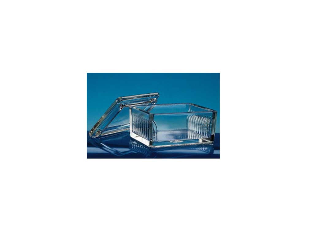 Kleurbakje met deksel, glas