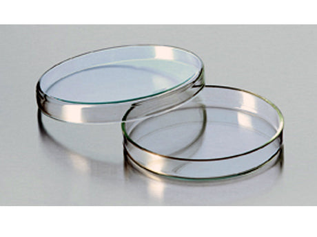 Petrischaal, glas, 50 x 12 mm - Antonides -  Petrischalen
