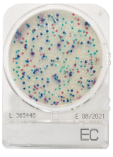 CompactDry EC - E. coli and coliform
