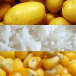 Remyline XS Antonides