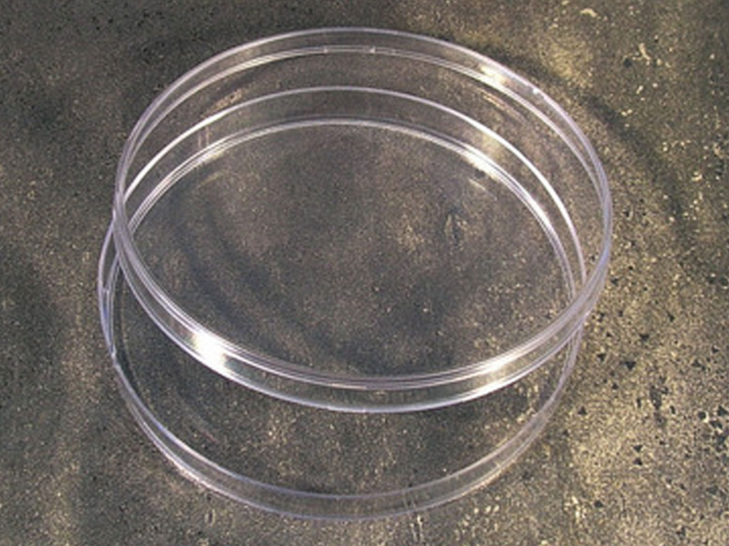 Petrischalen 120 mm, zn, aseptisch