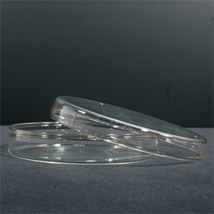 Petrischaal AR-glas (Soda-lime)