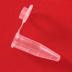 PP eppendorf 1,5ml buis 111540 rood