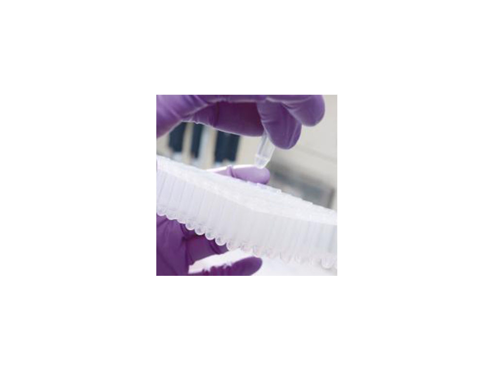 PCR tube 0,2 ml + dop (plat)