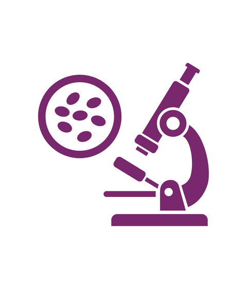 Microscopie toebehoren
