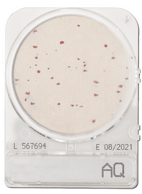 CompactDry AQ - Heterotrophic bacteria in water - Antonides -  CompactDry