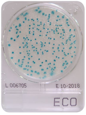 CompactDry ECO - E. coli - Antonides -  CompactDry