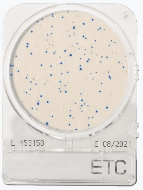 CompactDry ETC - Enterococcus species