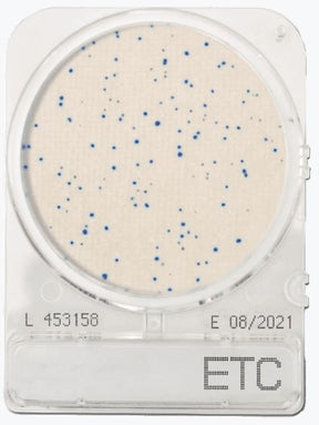 CompactDry ETC - Enterococcus species - Antonides -  CompactDry