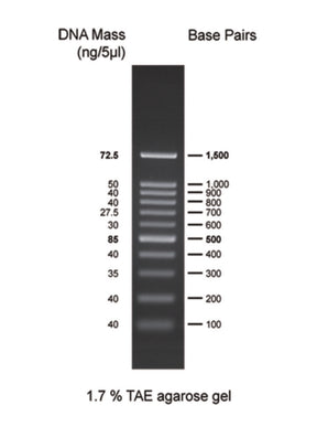Productfoto van DNA-marker voor gelelektroforese, 100 bp 100-1500 bp, 1 x 500 µl