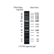 Productfoto van DNA-marker voor gelelektroforese, 1 Kb 250 bp-10 Kb, 1 x 500 µl