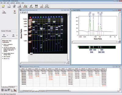 Gel documentatie systeem microDOC met UV-transilluminator 254/312nm # CSL-MDOCUV254/312