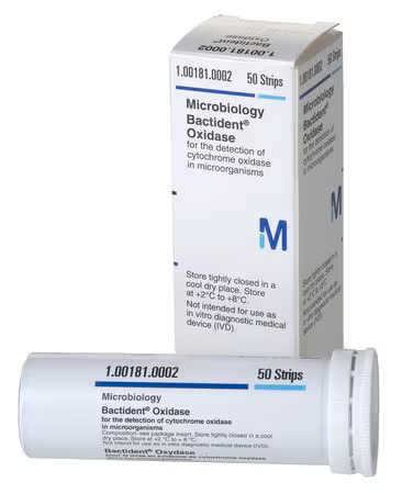 Bactident Oxidase Strips - Antonides -  Teststrips