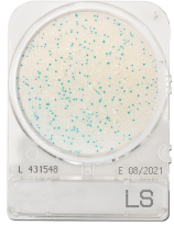 CompactDry LS - Listeria species