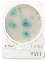 CompactDry YMR (rapid) - Yeast and mould