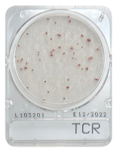 CompactDry TCR - Total Count Rapid