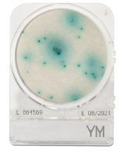 CompactDry YM - Yeast and mould