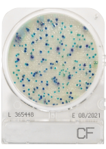 CompactDry CF - Coliform